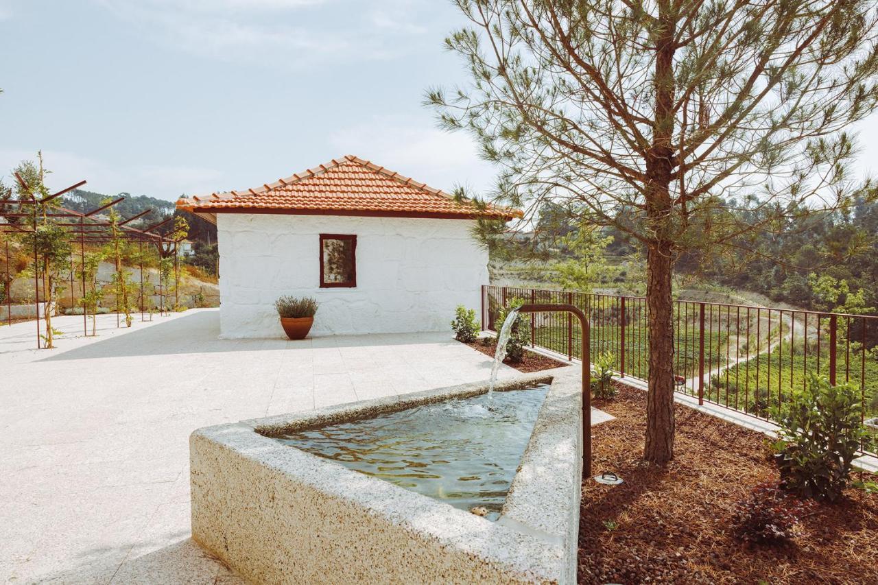 Oliveiras Village — Agroturismo Amarante Ngoại thất bức ảnh